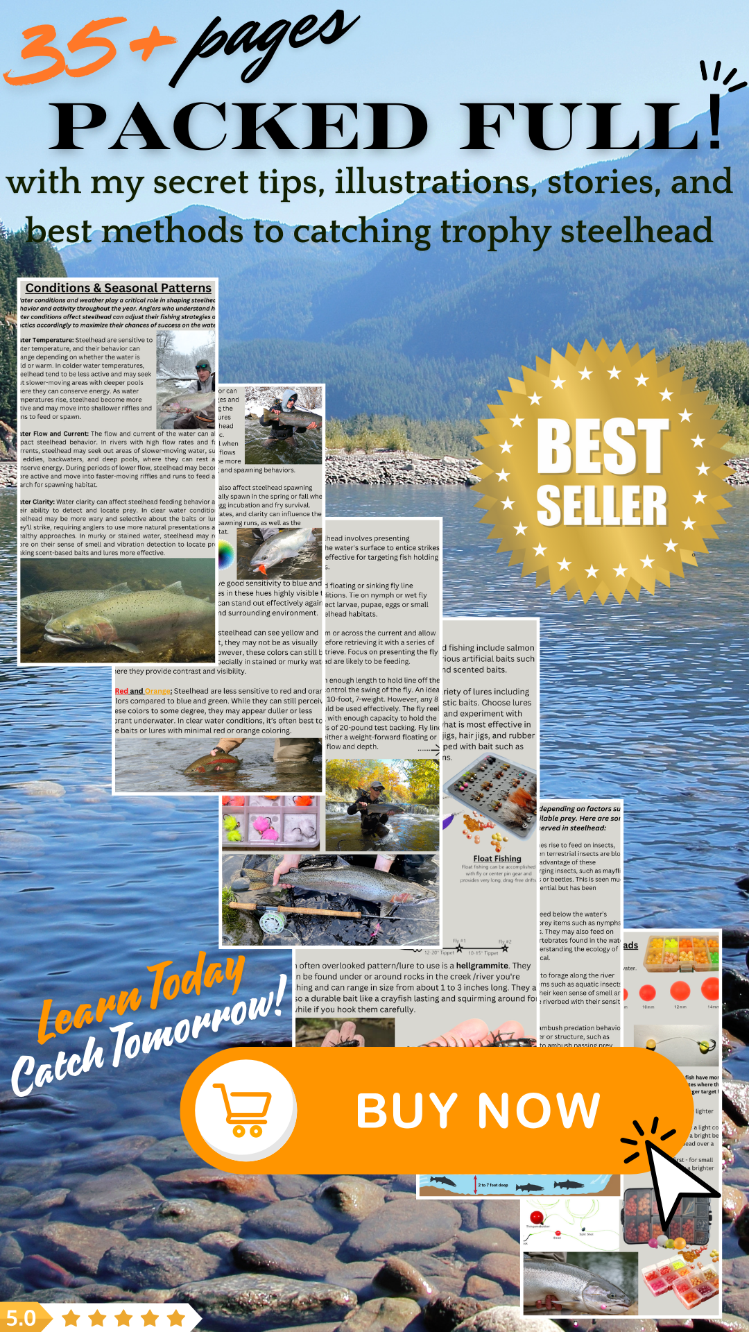 Steelhead Fishing Guide