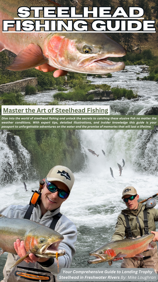 Steelhead Fishing Guide